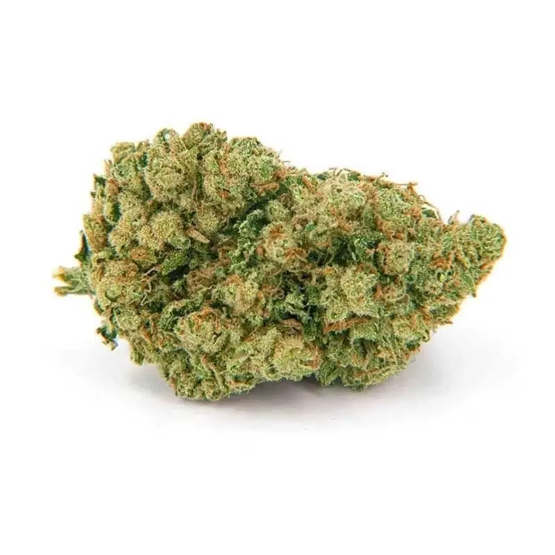 Fleur Green Sugar HE