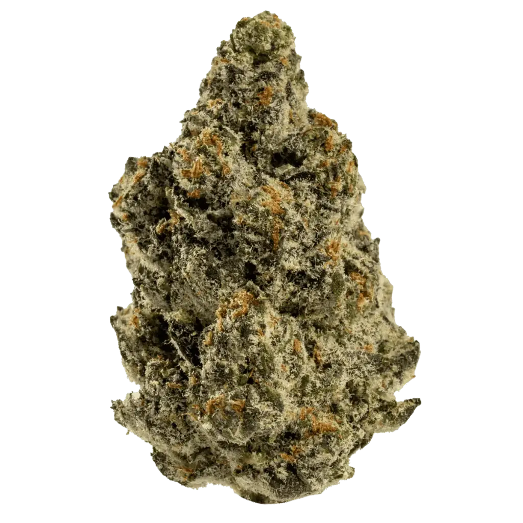 Zkittles HE Flower