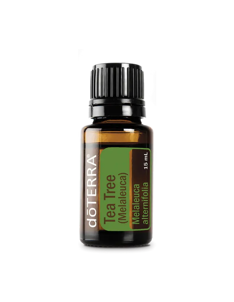 Tea Tree (Arbre à Thé) - 15 ml