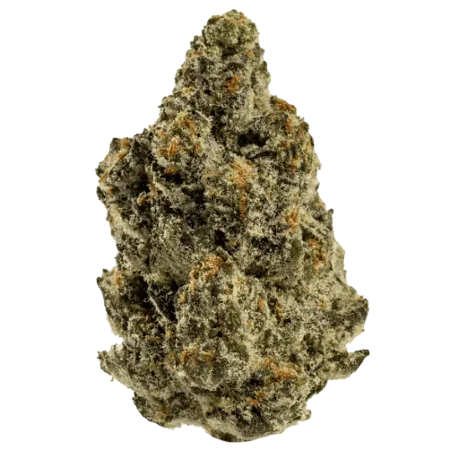 Fleur Zkittles HE